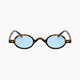 Havana/Light Blue